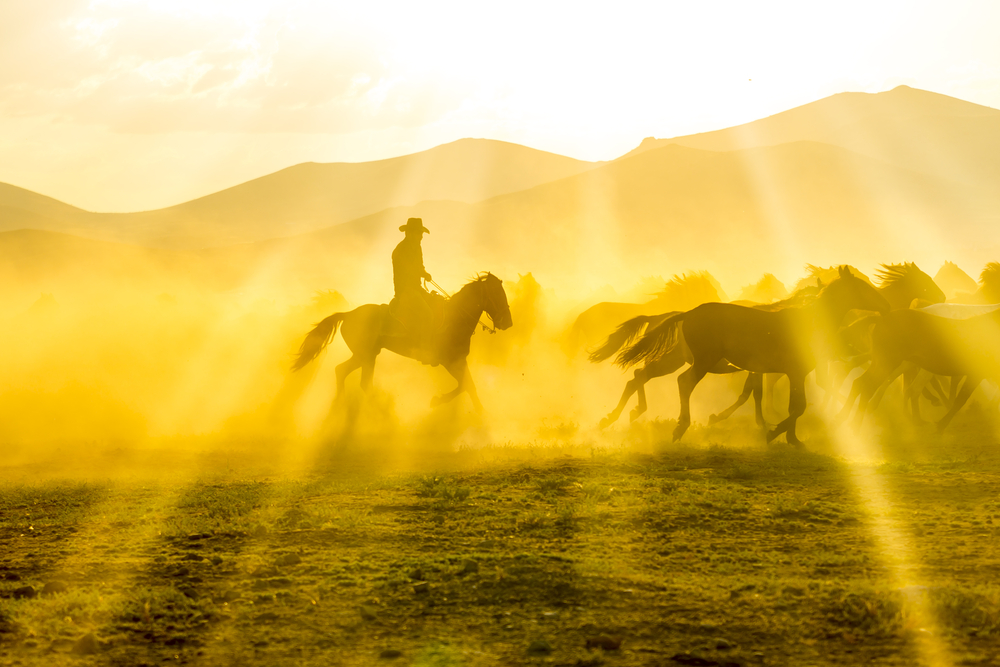 Western Outdoor Adventures