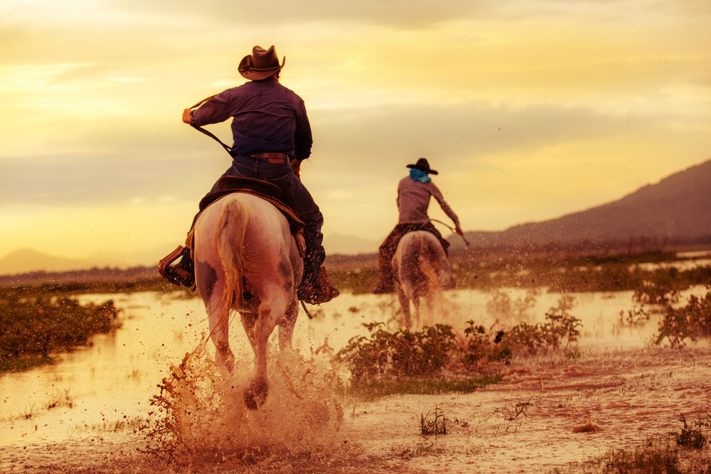 How do cowboys start cattle drive, The Cattle Drive and Westward Expansion
